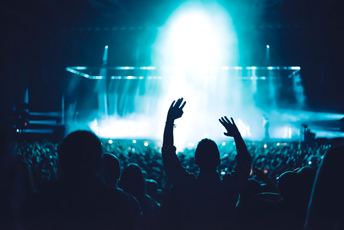 Audience at a music festival